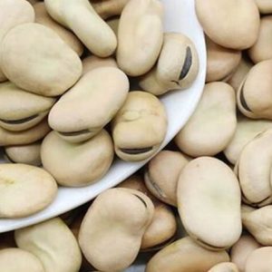 Egyptian Fava Beans