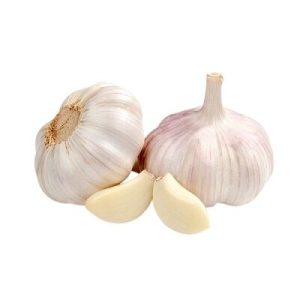 Egyptian Garlic