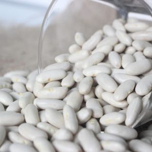 Egyptian White Beans